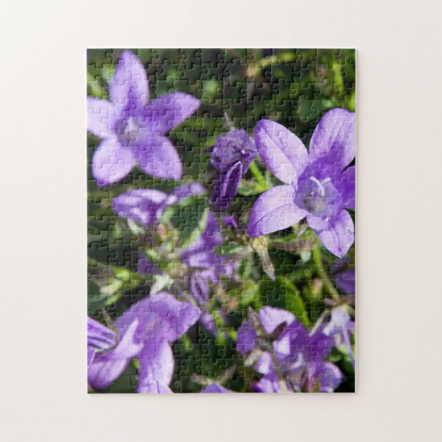 Sommerliche Blume. Jigsaws (Vertikal)