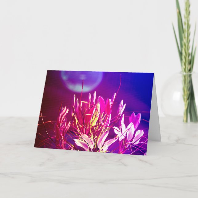 Sommerliche Blume Karte (Vorderseite)