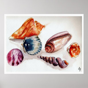Sommerliche Muscheln Poster