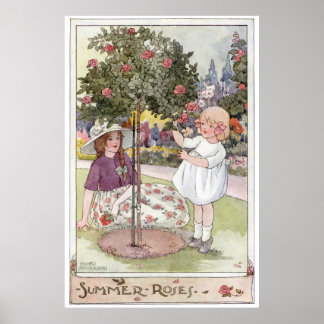 Sommerliche Rose von Anne Anderson Poster