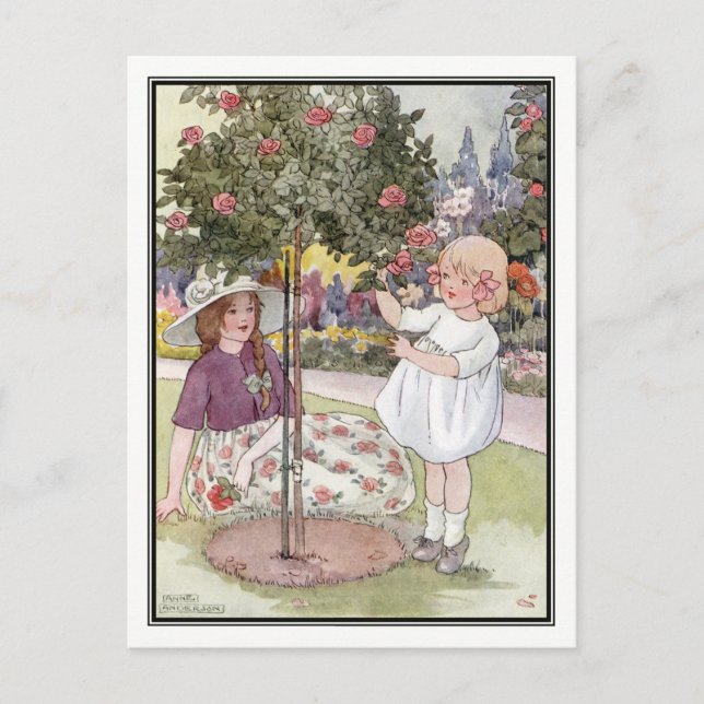 Sommerliche Rose von Anne Anderson Postkarte (Vorderseite)