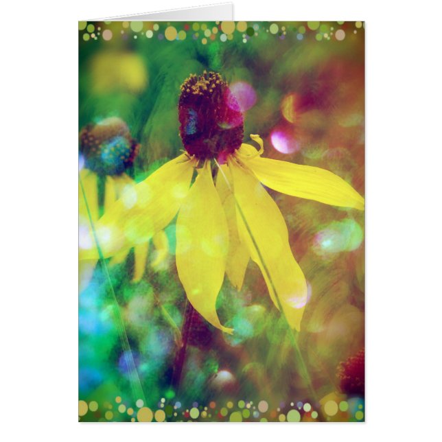 Sommerliche Wildblume (Vorne)