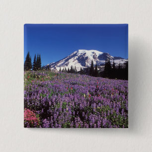 Sommerliche Wildblumen am Fuße des Berges Rainier Button