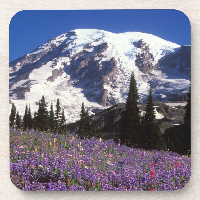 Sommerliche Wildblumen am Fuße des Rainiers, 2 Untersetzer (Vorderseite)