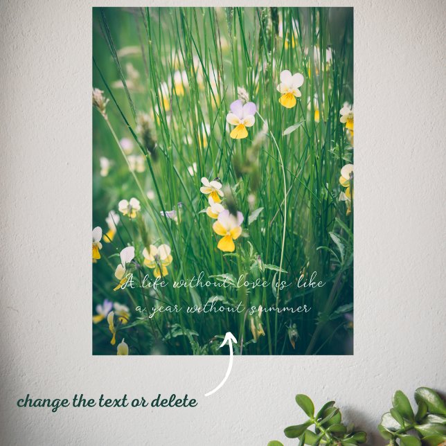Sommerliche Wildblumen Poster (Von Creator hochgeladen)