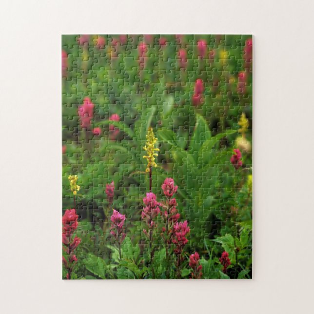 Sommerliche Wildblumen sorgen für einen farbenfroh (Vertikal)