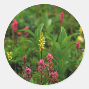 Sommerliche Wildblumen sorgen für Farbenrummel Runder Aufkleber