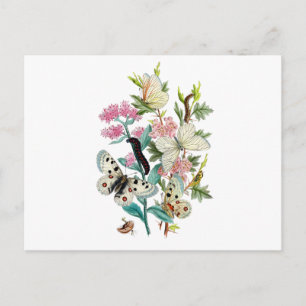 Sommermärsche Postkarte