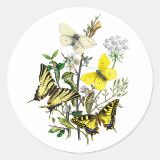 Sommermärsche Runder Aufkleber
