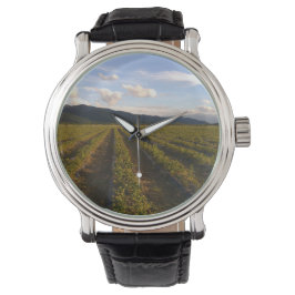 Sommermauer Armbanduhr