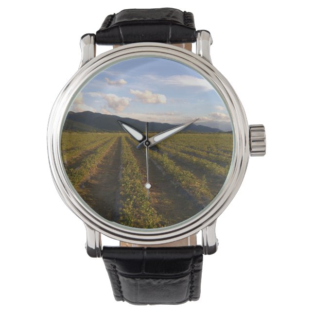 Sommermauer Armbanduhr (Vorderseite)