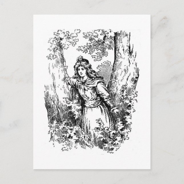 Sommernachtstraum Postkarte (Vorderseite)