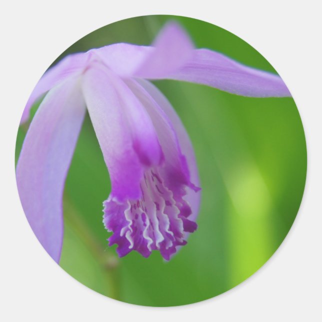 Sommerorchid! Runder Aufkleber (Vorderseite)