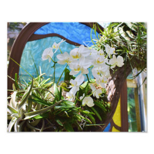 Sommerorchideen Fotodruck