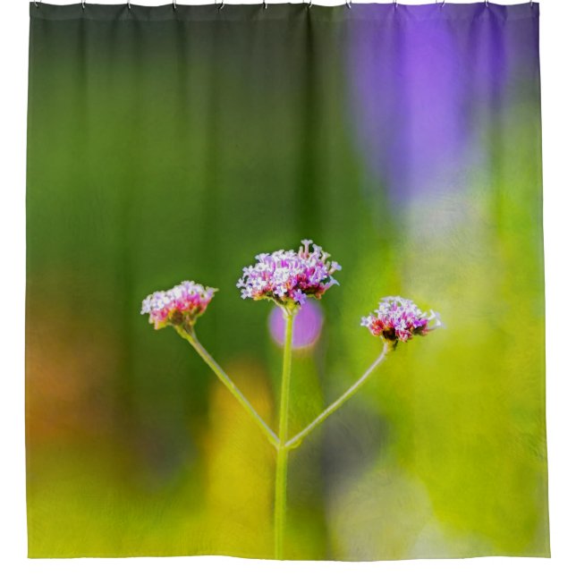 Sommerpalette Duschvorhang (Vorderseite)