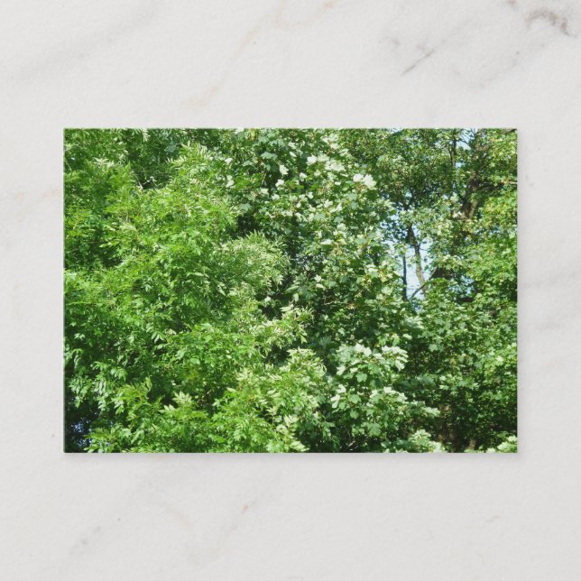 Sommerpause Visitenkarte (Vorderseite)