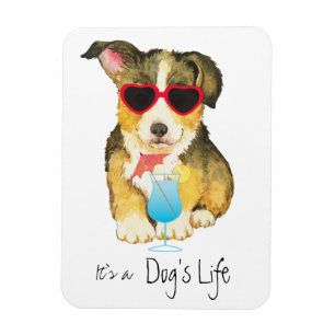 Sommerpembroke-WaliserCorgi Magnet