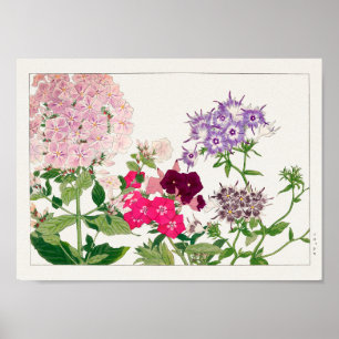 Sommerphlox von Tanigami Konan Poster