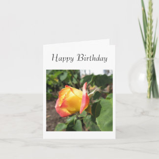Sommerrose Karte