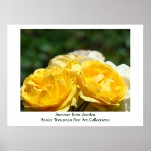 Sommerrosengarten Kunst Drucke Gelbe Rosenblumen