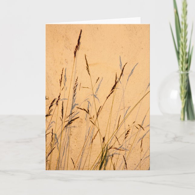 Sommerschatten Karte (Vorderseite)