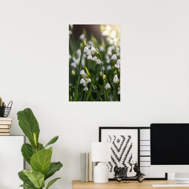 Sommerschneeflocken-weiße Blume Poster (Heimbüro)