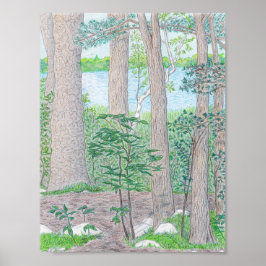 Sommersee mit holzfarbenem Bleistift Zeichnend Poster