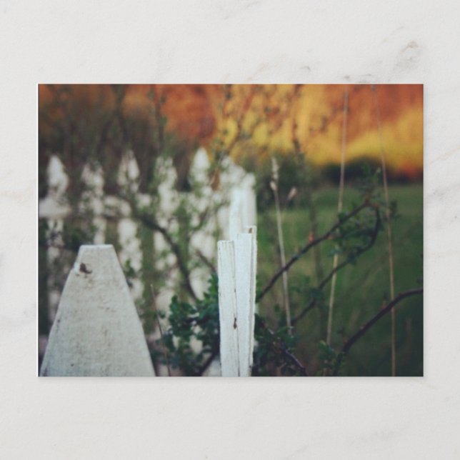 Sommersonne Postkarte (Vorderseite)