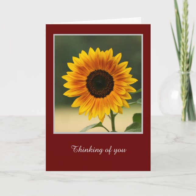 Sommersonnenblume Faltkarte Karte (Vorderseite)