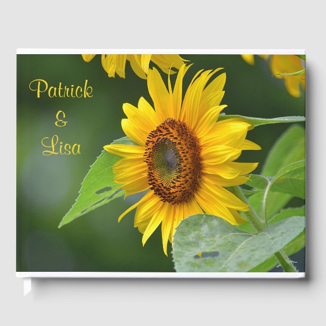 Sommersonnenblume Gästebuch (Vorderseite)