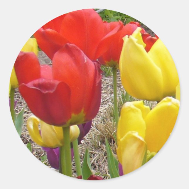 Sommersticker Runder Aufkleber (Vorderseite)