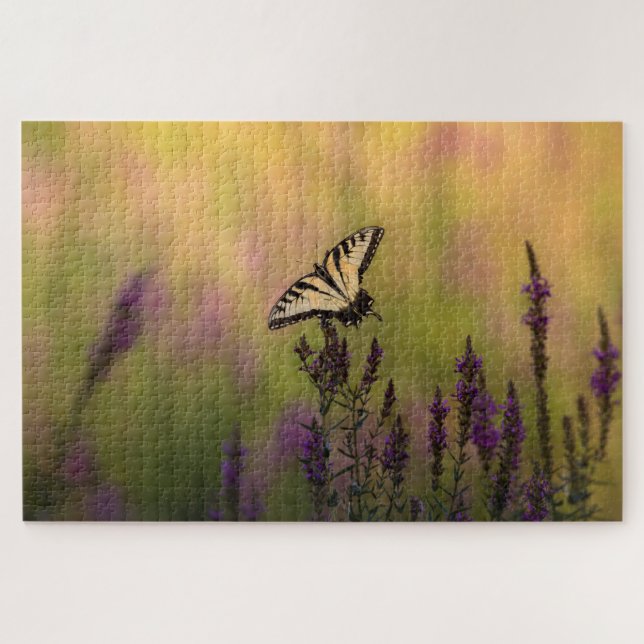 Sommerszene, Schmetterling und Loosestrife (Horizontal)