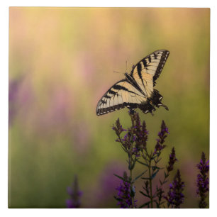 Sommerszene, Schmetterling und Loosestrife Fliese