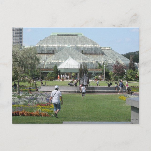 Sommertag in Chicago Postkarte (Vorderseite)