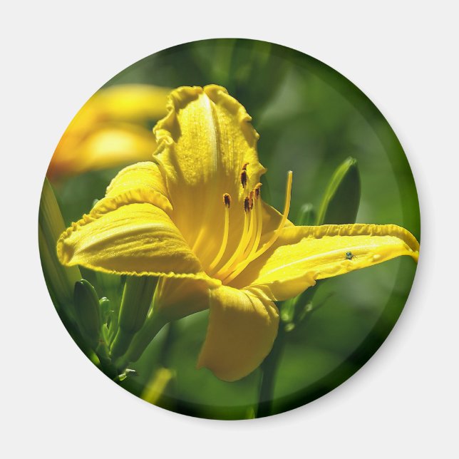 Sommertag Magnet (Vorne)