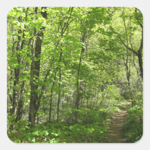 Sommertage (1) Sticker