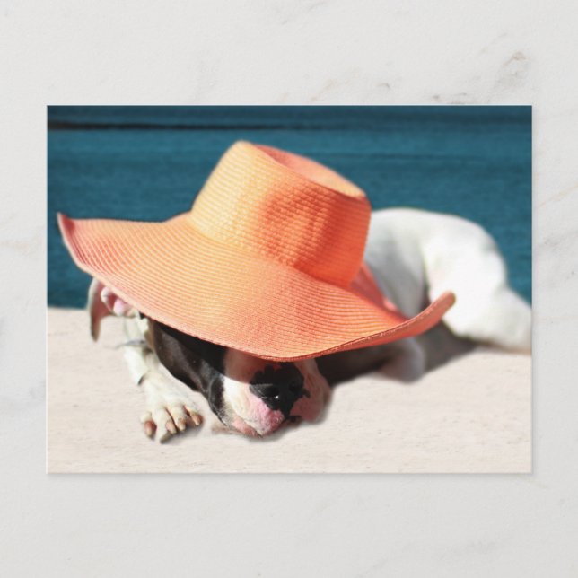 Sommertage am Meer Postkarte (Vorderseite)
