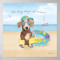Sommertage der Hunde