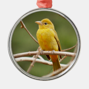 SommerTanager Ornament Aus Metall