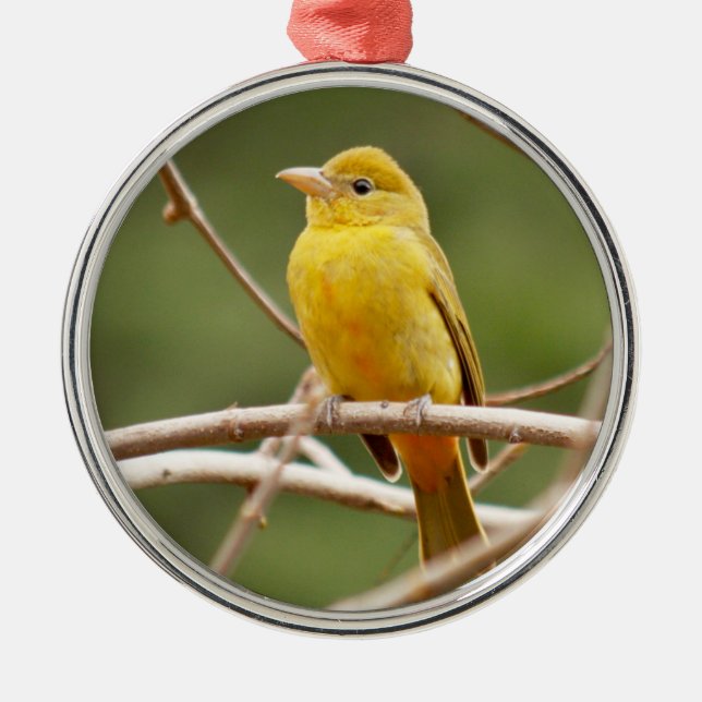 SommerTanager Ornament Aus Metall (Vorne)