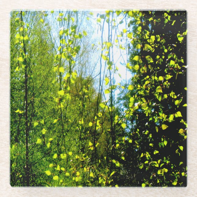 Sommervorhang Glasuntersetzer (Vorderseite)