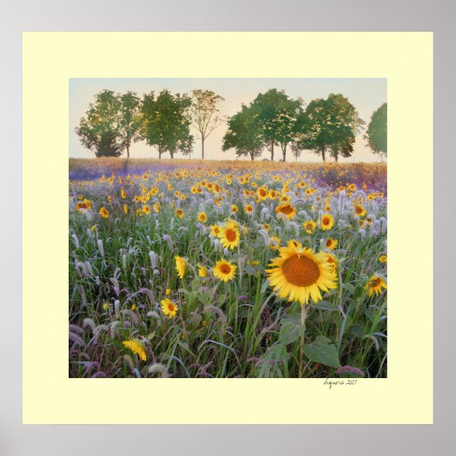 Sommervormittag Poster (Vorne)