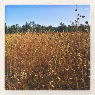 Sommerwiese Glasuntersetzer