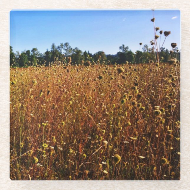 Sommerwiese Glasuntersetzer (Vorderseite)