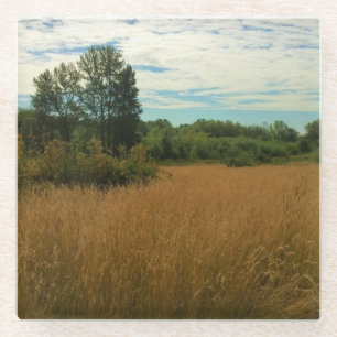 Sommerwiese Glasuntersetzer