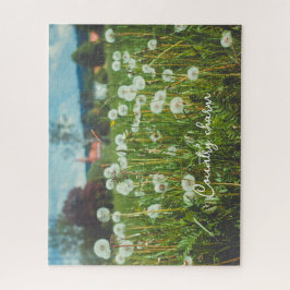 Sommerwiese mit Leuchten