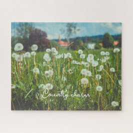 Sommerwiese mit Leuchten