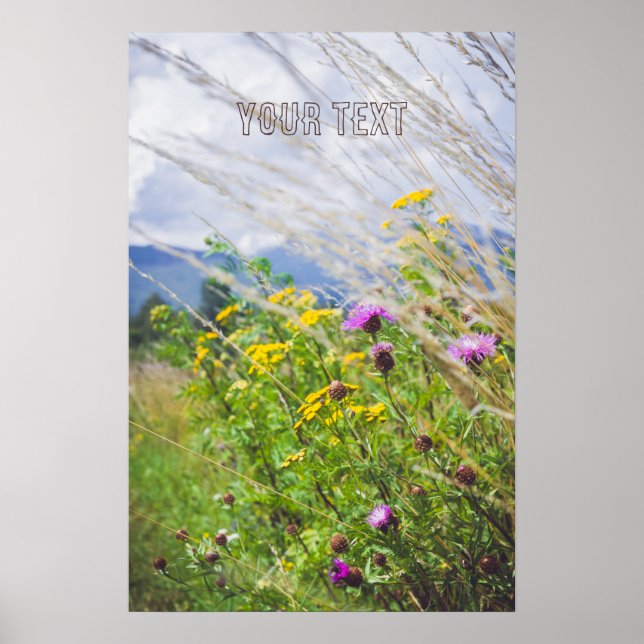 Sommerwiese Wildblume Poster (Vorne)