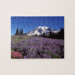 Sommerwildblumen am Fuße des Mount Rainier,