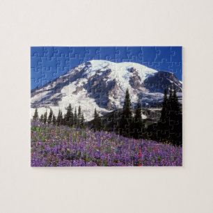 Sommerwildblumen am Fuße des Mount Rainier, 2